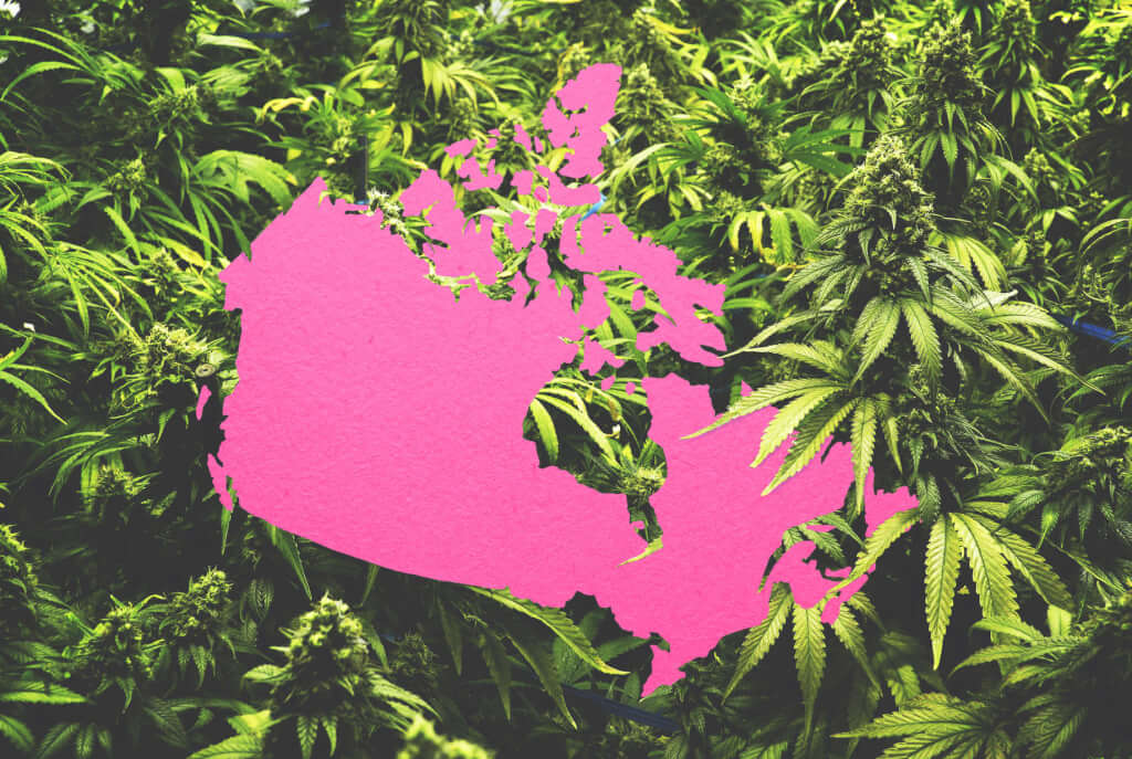 ganjavacations jamaica