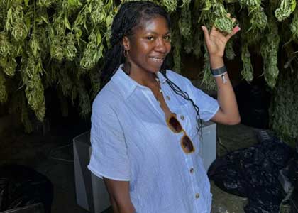 Jamaica Ganja Tours