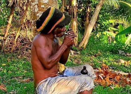 Rasta Hike