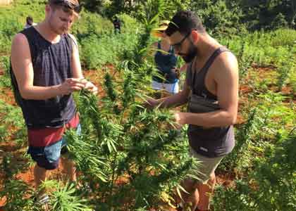 Natural Herb Tour