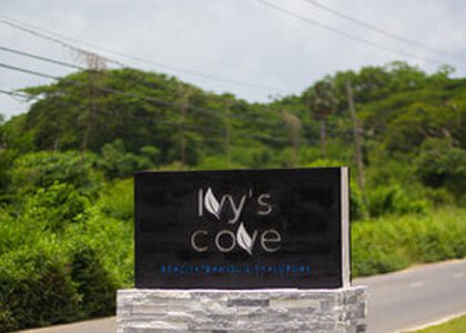 Ivy’s Cove