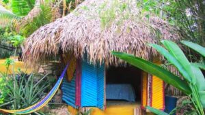 Bamboo Palace Budget Deal