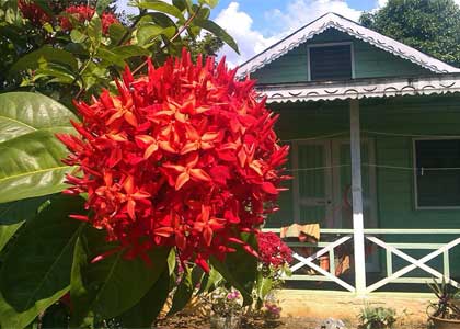 Jamaica Beach Cottages