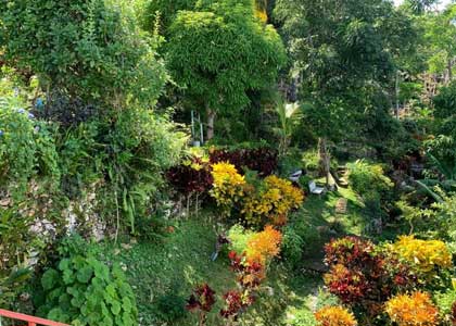 Ahhh Rasnatango Gallery & Garden