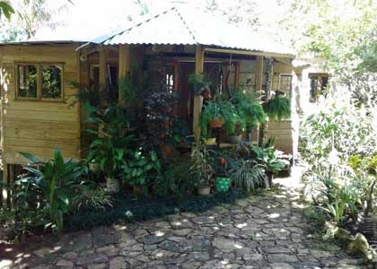 Mel’s Botanical Retreat