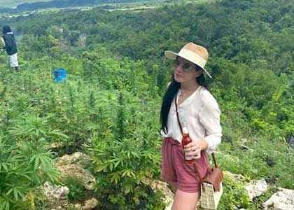 Orange Hill Kush Farm Tour