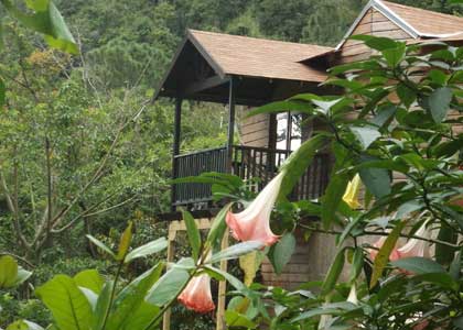Rafjam Bed & Breakfast