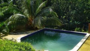 San San’s Sativa