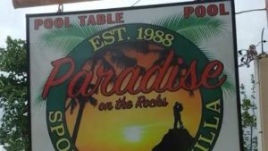 Paradise Joystick