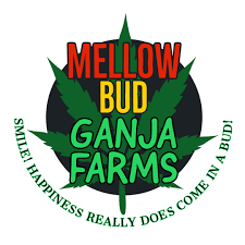 MELLOW BUDS GANJA FARM& DISPENSARY