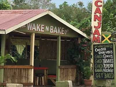 https://jamaicaganjavacations.com/wp-content/uploads/2023/05/ganja-vacation.jpg 