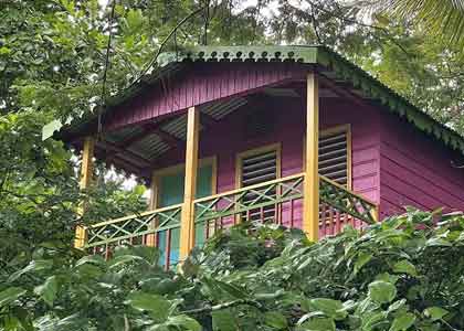 Animal Farm & Nature Reserve