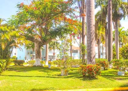 Point Village 204