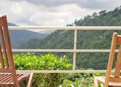 BlueMountView Guesthouse
