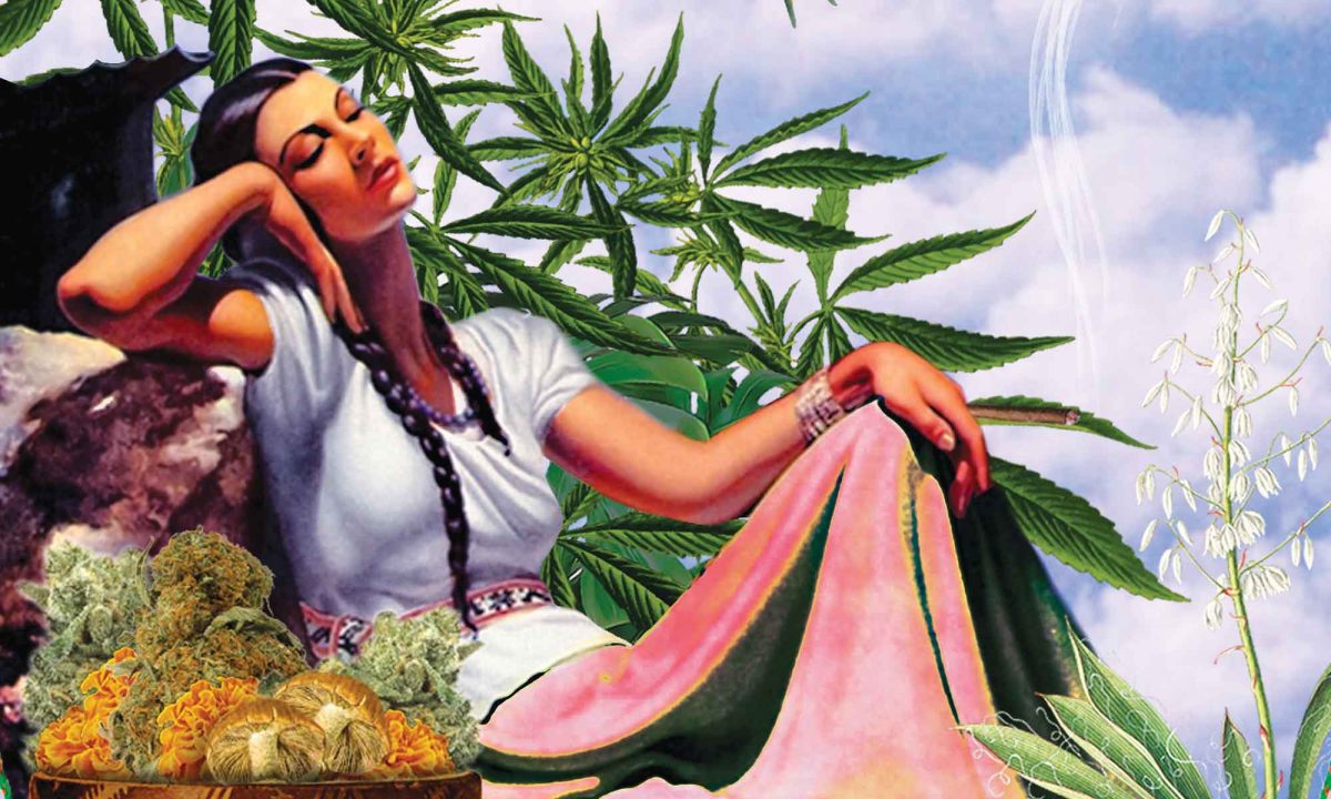 ganjavacations jamaica
