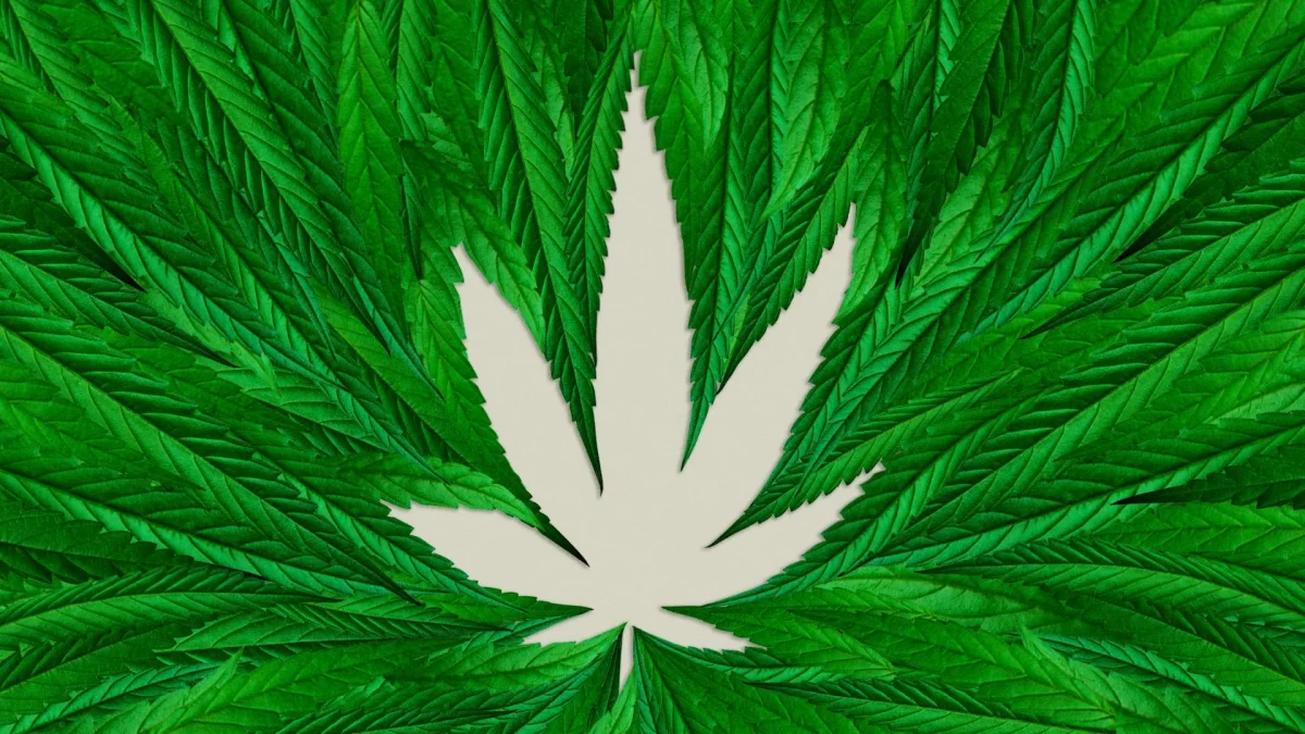 ganjavacations jamaica