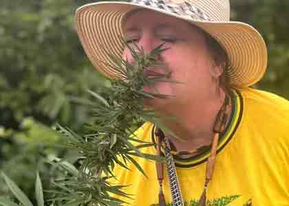 Nine Mile Cannabis and Nature Walk Tour