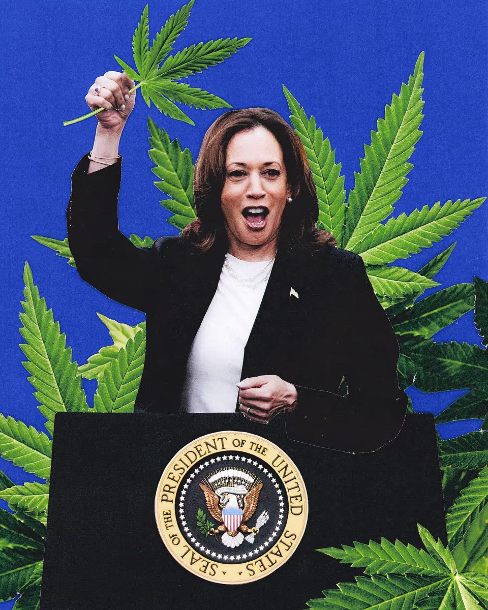 ganjavacations jamaica