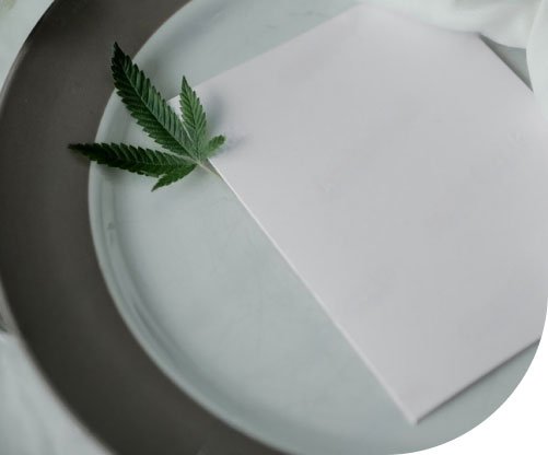 Cannabis weddings are now a thing
