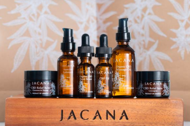 JACANA Events package