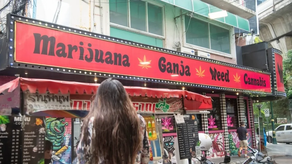ganjavacations jamaica
