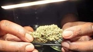 ST. Bess Bud & Breakfast