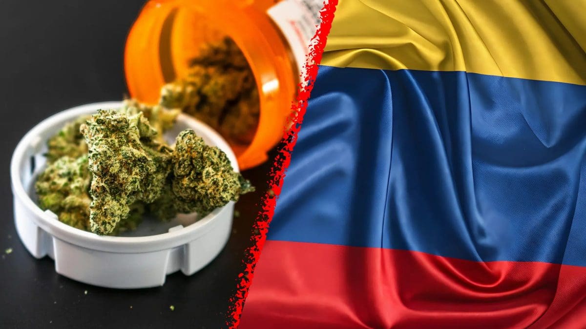 ganjavacations jamaica