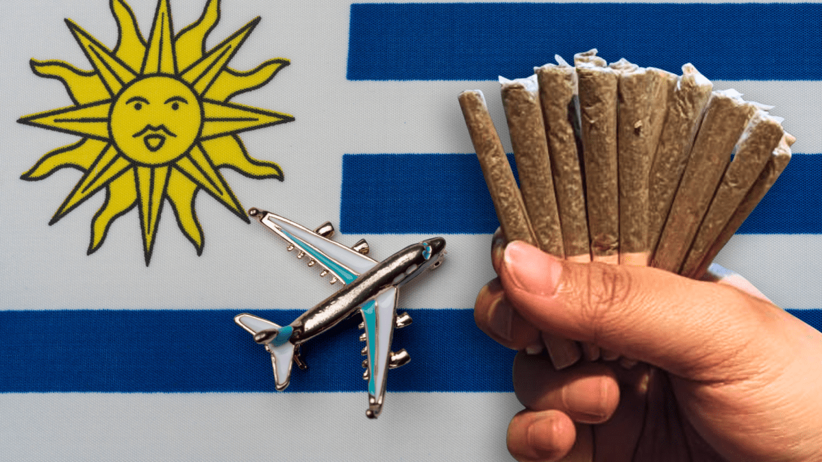 ganjavacations jamaica